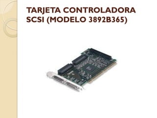 TARJETA CONTROLADORA
SCSI (MODELO 3892B365)
 