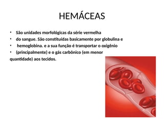 HEMÁCEAS
•
•
•
•
São unidades morfológicas da série vermelha
do sangue. São constituídas basicamente por globulina e
hemoglobina. e a sua função é transportar o oxigênio
(principalmente) e o gás carbônico (em menor
quantidade) aos tecidos.
 