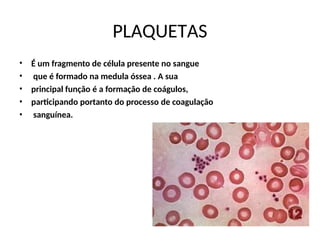 PLAQUETAS
•
•
•
•
•
É um fragmento de célula presente no sangue
que é formado na medula óssea . A sua
principal função é a formação de coágulos,
participando portanto do processo de coagulação
sanguínea.
 