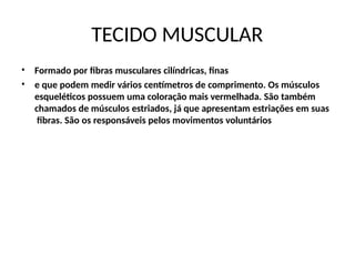 TECIDO MUSCULAR
•
•
Formado por fibras musculares cilíndricas, finas
e que podem medir vários centímetros de comprimento. Os músculos
esqueléticos possuem uma coloração mais vermelhada. São também
chamados de músculos estriados, já que apresentam estriações em suas
fibras. São os responsáveis pelos movimentos voluntários
 