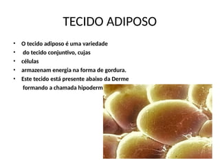 TECIDO ADIPOSO
•
•
•
•
•
O tecido adiposo é uma variedade
do tecido conjuntivo, cujas
células
armazenam energia na forma de gordura.
Este tecido está presente abaixo da Derme
formando a chamada hipoderme.
 