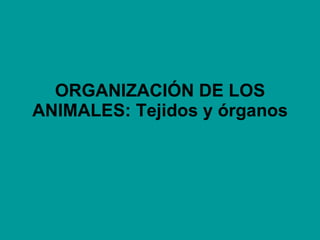 ORGANIZACIÓN DE LOS ANIMALES: Tejidos y órganos 