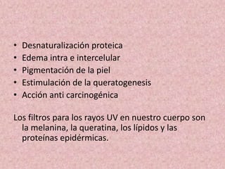 • Desnaturalización proteica 
• Edema intra e intercelular 
• Pigmentación de la piel 
• Estimulación de la queratogenesis 
• Acción anti carcinogénica 
Los filtros para los rayos UV en nuestro cuerpo son 
la melanina, la queratina, los lípidos y las 
proteínas epidérmicas. 
 