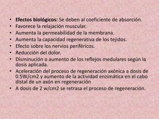 • Efectos biológicos: Se deben al coeficiente de absorción. 
• Favorece la relajación muscular. 
• Aumenta la permeabilidad de la membrana. 
• Aumenta la capacidad regenerativa de los tejidos. 
• Efecto sobre los nervios periféricos. 
• Reducción del dolor. 
• Disminución o aumento de los reflejos medulares según la 
dosis aplicada. 
• Aceleración del proceso de regeneración axónica a dosis de 
0.5W/cm2 y aumento de la actividad enzimática en el cabo 
distal de un axón en regeneración 
• A dosis de 2 w/cm2 se retrasa el proceso de regeneración. 
 