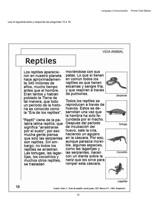 Lenguaje y Comunicación Primer Ciclo Básico
Lee el siguiente texto y responde las preguntas 15 a 16
12
 