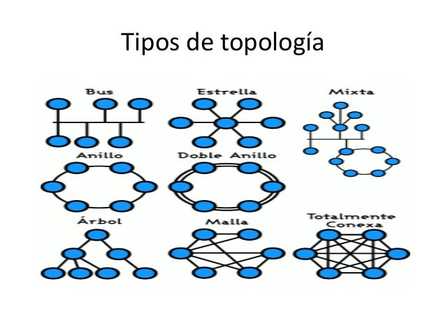 Infografia De Los Tipos De Topologias En La Red En 20 - vrogue.co