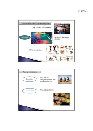 27/10/2014
3
Animales
Toxinas endógenas en vegetales y animales
Más comunes en productos
marinos
Mejillones, barbechos,
almejas
Diferentes toxinas
Toxinas microbianas
Infección
Ingestión de
microorganismos que
producen toxina
Intoxicación
Ingestión de toxina
 
