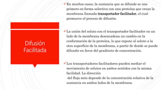 Difusión
Facilitada
En muchos casos, la sustancia que se difunde se une
primero en forma selectiva con una proteína que cruza la
membrana llamada transportador facilitador, el cual
promueve el proceso de difusión.
La unión del soluto con el transportador facilitador en un
lado de la membrana desencadena un cambio en la
conformación de la proteína, lo que expone al soluto a la
otra superficie de la membrana, a partir de donde se puede
difundir en favor del gradiente de concentración.
Los transportadores facilitadores pueden mediar el
movimiento de solutos en ambos sentidos con la misma
facilidad. La dirección
del flujo neto depende de la concentración relativa de la
sustancia en ambos lados de la membrana.
 