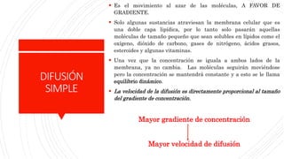 DIFUSIÓN
SIMPLE
 Es el movimiento al azar de las moléculas, A FAVOR DE
GRADIENTE.
 Solo algunas sustancias atraviesan la membrana celular que es
una doble capa lipídica, por lo tanto solo pasarán aquellas
moléculas de tamaño pequeño que sean solubles en lípidos como el
oxígeno, dióxido de carbono, gases de nitrógeno, ácidos grasos,
esteroides y algunas vitaminas.
 Una vez que la concentración se iguala a ambos lados de la
membrana, ya no cambia. Las moléculas seguirán moviéndose
pero la concentración se mantendrá constante y a esto se le llama
equilibrio dinámico.
 La velocidad de la difusión es directamente proporcional al tamaño
del gradiente de concentración.
Mayor gradiente de concentración
Mayor velocidad de difusión
 