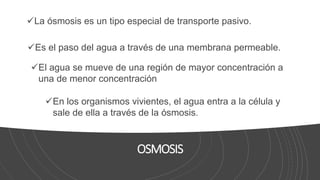 OSMOSIS
La ósmosis es un tipo especial de transporte pasivo.
Es el paso del agua a través de una membrana permeable.
El agua se mueve de una región de mayor concentración a
una de menor concentración
En los organismos vivientes, el agua entra a la célula y
sale de ella a través de la ósmosis.
 