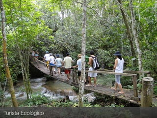 Turista Ecológico




                    Fonte: panorâmico.com
 