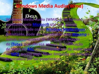 Windows Media Audio(Wma) 
Windows Media Áudio (WMA) é um formato 
produzido pela Microsoft que tem grande 
compatibilidade com o Windows Media Player. 
Entretanto, pode ser reproduzido pelo Winampe 
outros reprodutores de áudio, com exceção 
do iTunes, que oferece serviço de codificação 
de WMA ao AAC.Oferece qualidade de áudio igual 
ao MP3, porém pode haver limitação em relação à 
licenciatura por ser proprietário. 
 
