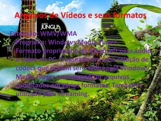 Arquivos de Vídeos e seus formatos 
Extensão: WMV/WMA 
Programa: Windows Media Player 
Formato proprietário da Microsoft para áudio 
e vídeo no PC. É baseado em uma coleção de 
codecs que podem ser usados pelo Windows 
Media Player para reproduzir arquivos 
codificados em vários formatos. Também é 
utilizado para streaming. 
 