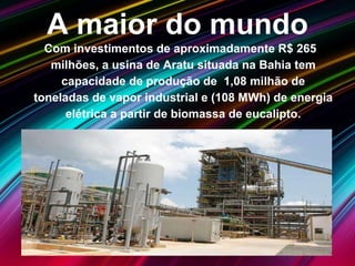 A maior do mundo
Com investimentos de aproximadamente R$ 265
milhões, a usina de Aratu situada na Bahia tem
capacidade de produção de 1,08 milhão de
toneladas de vapor industrial e (108 MWh) de energia
elétrica a partir de biomassa de eucalipto.
 