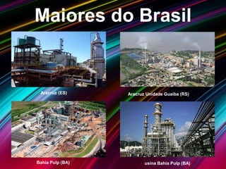 Maiores do Brasil
Aracruz Unidade Guaíba (RS)Aracruz (ES)
Bahia Pulp (BA) usina Bahia Pulp (BA)
 