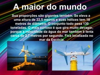 A maior do mundo
Sua proporções são gigantes também. Se eleva a
uma altura de 22,5 metros e suas hélices tem 18
metros de diâmetro. O conjunto todo pesa 130
toneladas. O mais curioso é que gira muito devagar,
porque a velocidade da água do mar também é lenta
cerca de 2,7 metros por segundo. Fica localizada no
mar da Escócia.
 
