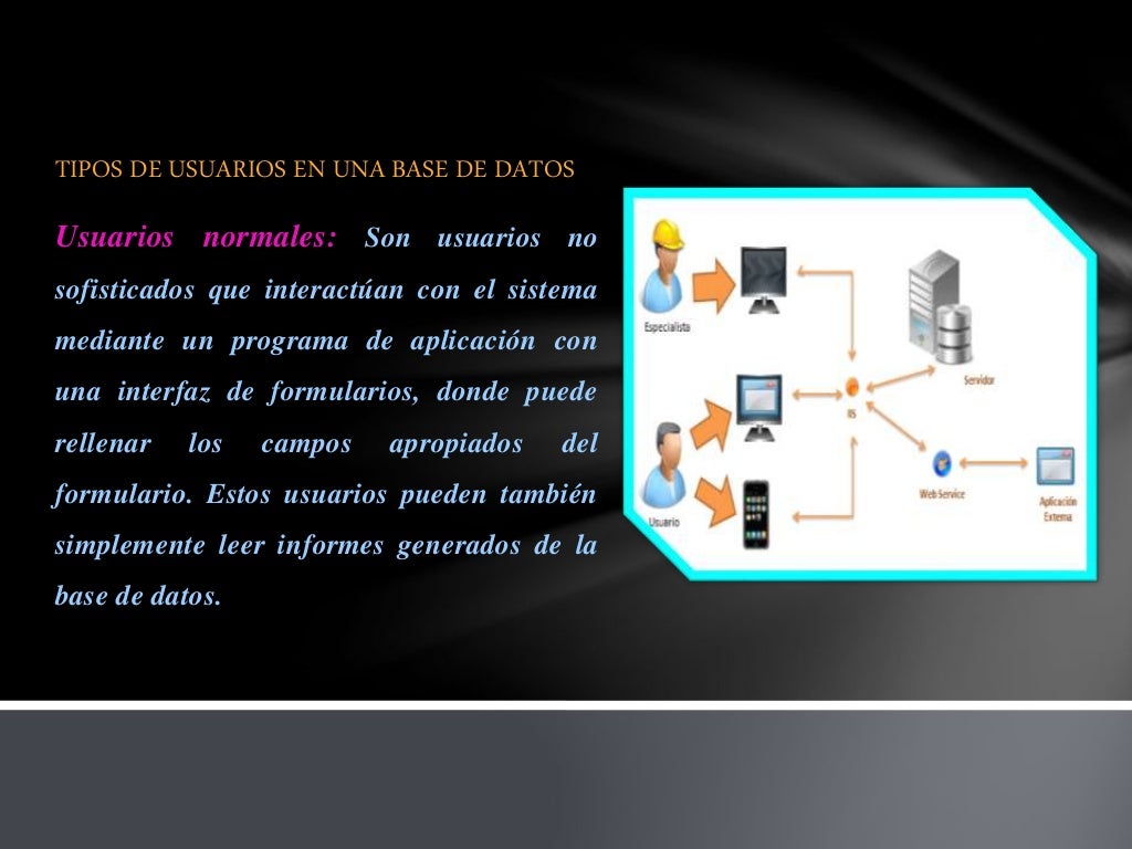 Tipos de usuario en una Base de Datos