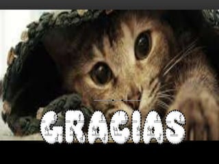 Tipos de Usuarios en una Base de Datos