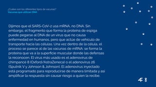 Dijimos que el SARS-CoV-2 usa mRNA, no DNA. Sin
embargo, el fragmento que forma la proteína de espiga
puede pegarse al DNA de un virus que no causa
enfermedad en humanos, pero que actúe de vehículo de
transporte hacia las células. Una vez dentro de la célula, el
proceso se parece al de las vacunas de mRNA: se forma la
proteína que va a la superﬁcie muscular donde las defensas
la reconocen. El virus más usado es el adenovirus de
chimpancé 8 (Oxford/AstraZeneca) o el adenovirus 26
(Sputnik V y Johnson & Johnson). El adenovirus inyectado
está programado para reproducirse de manera limitada y así
ampliﬁcar la respuesta sin causar riesgo a quien la recibe.
¿Cuáles son los diferentes tipos de vacunas?
Vacunas que utilizan DNA
 