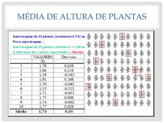 MÉDIA DE ALTURA DE PLANTAS
 