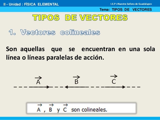 Tipos de vectores