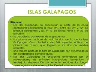 ISLAS GALAPAGOS
Ubicación
• Las islas Galápagos se encuentran al oeste de la costa
continental ecuatoriana a 1000 km., entre los 89° y 92° de
longitud occidental; y los 1° 40' de latitud norte y 1° 30' de
latitud sur.
• Se caracteriza por taxones de angiospermas.
• Las plantas son la base de toda la vida dentro de las Islas
Galápagos. Con alrededor de 560 especies nativas de
plantas, las mismas que llegaron a las islas por medios
naturales.
• Una tercera parte de la flora de Galápagos son endémicas, es
tan extraordinario como su fauna.
• Las Islas Galápagos se encuentra amenazada por el
sobrepastoreo de animales introducidos (domésticos y
ferales), la depredación por especies exóticas, los fuegos
antropogénicos y la sobreexplotación de los recursos marinos.
 
