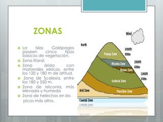 ZONAS
 La Islas Galápagos
poseen cinco tipos
básicos de vegetación.
 Zona litoral.
 Zona árida con
matorrales xéricos, entre
los 120 y 180 m de altitud.
 Zona de Scalesia, entre
los 180 y 550 m.
 Zona de Miconia, más
elevada y húmeda
 Zona de helechos en los
picos más altos.
 