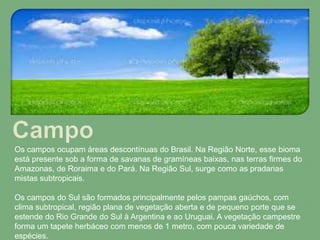 Os campos ocupam áreas descontínuas do Brasil. Na Região Norte, esse bioma
está presente sob a forma de savanas de gramíneas baixas, nas terras firmes do
Amazonas, de Roraima e do Pará. Na Região Sul, surge como as pradarias
mistas subtropicais.
Os campos do Sul são formados principalmente pelos pampas gaúchos, com
clima subtropical, região plana de vegetação aberta e de pequeno porte que se
estende do Rio Grande do Sul à Argentina e ao Uruguai. A vegetação campestre
forma um tapete herbáceo com menos de 1 metro, com pouca variedade de
espécies.
 