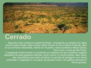 Segunda maior cobertura vegetal do Brasil, abrangendo os estados da região
Centro-Oeste (Goiás, Mato Grosso, Mato Grosso do Sul e Distrito Federal), além
do sul do Pará e Maranhão, interior do Tocantins, oeste da Bahia e Minas Gerais,
bem como o norte de São Paulo.
A vegetação predominante é constituída por espécies do tipo tropófilas (vegetais
adaptados às duas estações distintas, como ocorre no Centro-Oeste), além disso,
são caducifólias (que caem as folhas no período de estiagem) com raízes
profundas. A vegetação é, em geral, de pequeno porte, com galhos retorcidos e
folhas grossas.
 