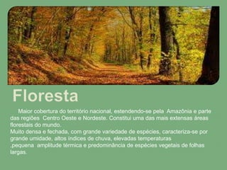 Maior cobertura do território nacional, estendendo-se pela Amazônia e parte
das regiões Centro Oeste e Nordeste. Constitui uma das mais extensas áreas
florestais do mundo.
Muito densa e fechada, com grande variedade de espécies, caracteriza-se por
grande umidade, altos índices de chuva, elevadas temperaturas
,pequena amplitude térmica e predominância de espécies vegetais de folhas
largas.
 