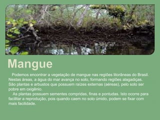 Podemos encontrar a vegetação de mangue nas regiões litorâneas do Brasil.
Nestas áreas, a água do mar avança no solo, formando regiões alagadiças.
São plantas e arbustos que possuem raízes externas (aéreas), pelo solo ser
pobre em oxigênio.
As plantas possuem sementes compridas, finas e pontudas. Isto ocorre para
facilitar a reprodução, pois quando caem no solo úmido, podem se fixar com
mais facilidade.
 