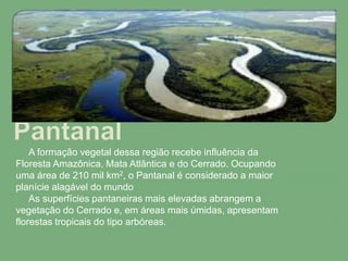 A formação vegetal dessa região recebe influência da
Floresta Amazônica, Mata Atlântica e do Cerrado. Ocupando
uma área de 210 mil km2, o Pantanal é considerado a maior
planície alagável do mundo
As superfícies pantaneiras mais elevadas abrangem a
vegetação do Cerrado e, em áreas mais úmidas, apresentam
florestas tropicais do tipo arbóreas.
 
