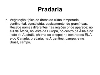 Pradaria Vegetação típica de áreas de clima temperado continental, constituída, basicamente, de gramíneas. Recebe nomes diferentes nas regiões onde aparece: no sul da África, no leste da Europa, no centro da Ásia e no leste da Austrália chama-se estepe; no centro dos EUA e do Canadá, pradaria; na Argentina, pampa; e no Brasil, campo.   