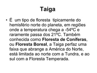 Taiga   É  um tipo de floresta  tipicamente do hemisfério norte do planeta, em regiões onde a temperatura chega a -54ºC e raramente passa dos 21ºC. Também conhecida como  Floresta de Coníferas , ou  Floresta Boreal , a Taiga perfaz uma faixa que abrange a América do Norte, está limitada ao norte com a Tundra, e ao sul com a Floresta Temperada. 