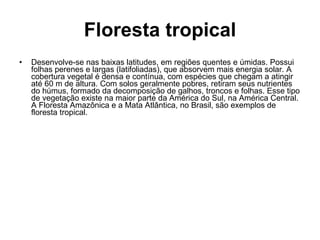 Floresta tropical ,[object Object]