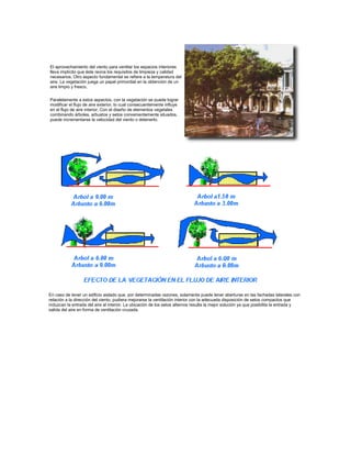 El aprovechamiento del viento para ventilar los espacios interiores
lleva implícito que éste reúna los requisitos de limpieza y calidad
necesarios. Otro aspecto fundamental se refiere a la temperatura del
aire. La vegetación juega un papel primordial en la obtención de un
aire limpio y fresco.
Paralelamente a estos aspectos, con la vegetación se puede lograr
modificar el flujo de aire exterior, lo cual consecuentemente influye
en el flujo de aire interior. Con el diseño de elementos vegetales
combinando árboles, arbustos y setos convenientemente situados,
puede incrementarse la velocidad del viento o detenerlo.
En caso de tener un edificio aislado que, por determinadas razones, solamente puede tener aberturas en las fachadas laterales con
relación a la dirección del viento, pudiera mejorarse la ventilación interior con la adecuada disposición de setos compactos que
induzcan la entrada del aire al interior. La ubicación de los setos alternos resulta la mejor solución ya que posibilita la entrada y
salida del aire en forma de ventilación cruzada.
 