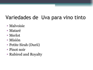 Variedades de Uva para vino tinto
•
•
•
•
•
•
•

Malvoisie
Mataré
Merlot
Misión
Petite Sirah (Durii)
Pinot noir
Rubired and Royalty

 