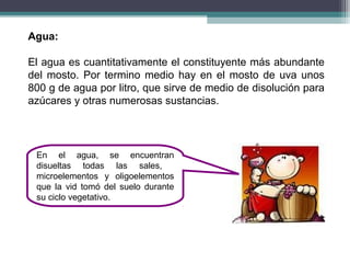 Agua:
El agua es cuantitativamente el constituyente más abundante
del mosto. Por termino medio hay en el mosto de uva unos
800 g de agua por litro, que sirve de medio de disolución para
azúcares y otras numerosas sustancias.

En el agua, se encuentran
disueltas todas las sales,
microelementos y oligoelementos
que la vid tomó del suelo durante
su ciclo vegetativo.

 