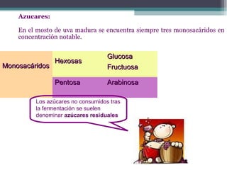 Azucares:
En el mosto de uva madura se encuentra siempre tres monosacáridos en
concentración notable.

Pentosa

Monosacáridos

Hexosas

Glucosa
Fructuosa
Arabinosa

Los azúcares no consumidos tras
la fermentación se suelen
denominar azúcares residuales

 