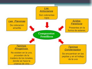 Los
Antocianos
Son colorantes
rojos

Las Flavonas
De coloración
amarilla

Ácidos
Fen ólicos
Presentes en la
forma de esteres.

Compuestos
Fenólicos
Taninos
Pirog álicos
No existen en la uva,
proceden de la
madera de los toneles,
donde se hace la
crianza de vino

Taninos
Condensados
Se encuentran en las
pepitas y en el hollejo
de la uva

 