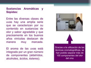 Sustancias
Sápidas:

Aromáticas

y

Entre las diversas clases de
uvas hay una amplia serie
que se caracterizan por su
contenido en sustancias de
olor y sabor agradable y que
precisamente en los buenos
años vinícolas destacan de
manera
muy
marcada.
El aroma de las uvas está
integrado por un gran número
de componentes (aldehídos,
alcoholes, ácidos, ésteres).

Gracias a la utilización de las
técnicas cromatográficas, se
han podido separar más de
100 componentes del olor
del vino

 