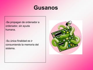 Gusanos

-Se propagan de ordenador a
ordenador, sin ayuda
humana.



-Su única finalidad es ir
consumiendo la memoria del
sistema.
 