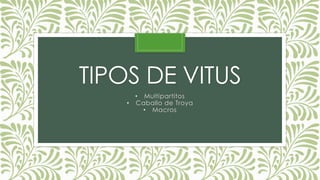 TIPOS DE VITUS
• Multipartitos
• Caballo de Troya
• Macros
 