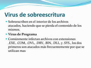 Virus de sobreescrituraSobreescriben en el interior de los archivos atacados, haciendo que se pierda el contenido de los mismos.Virus de ProgramaComúnmente infectan archivos con extensiones .EXE, .COM, .OVL, .DRV, .BIN, .DLL, y .SYS., los dos primeros son atacados más frecuentemente por que se utilizan mas
