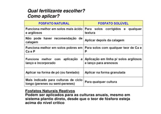 Qual fertilizante escolher?
Como aplicar?
Fosfatos Naturais Reativos
Podem ser aplicados para as culturas anuais, mesmo em
sistema plantio direto, desde que o teor de fósforo esteja
acima do nível crítico
 