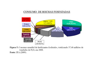 CONSUMO DE ROCHAS FOSFATADAS
 