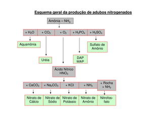 + H2O + CO2 + O2 + H3PO4 + H2SO4
Aquamônia Sulfato de
Amônio
DAP
Amônia – NH3
Esquema geral da produção de adubos nitrogenados
Uréia
DAP
MAP
Ácido Nítrico
HNO3
Nitrato de
Amônio
+ CaCO3 + Na2CO3 + KCl
+ Rocha
+ NH3
Nitrato de
Cálcio
Nitrato de
Sódio
Nitrato de
Potássio
Nitrofos-
fato
+ NH3
 