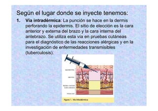 Según el lugar donde se inyecte tenemos:
1. Vía intradérmica: La punción se hace en la dermis
perforando la epidermis. El sitio de elección es la cara
anterior y externa del brazo y la cara interna del
antebrazo. Se utiliza esta vía en pruebas cutáneas
para el diagnóstico de las reacciones alérgicas y en la
investigación de enfermedades transmisibles
(tuberculosis).
 