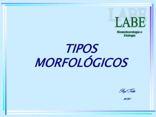 TIPOS
MORFOLÓGICOS
Prof.Titto
2020
 