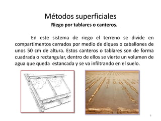 Métodos superficiales
6
Riego por tablares o canteros.
En este sistema de riego el terreno se divide en
compartimentos cerrados por medio de diques o caballones de
unos 50 cm de altura. Estos canteros o tablares son de forma
cuadrada o rectangular, dentro de ellos se vierte un volumen de
agua que queda estancada y se va infiltrando en el suelo.
 